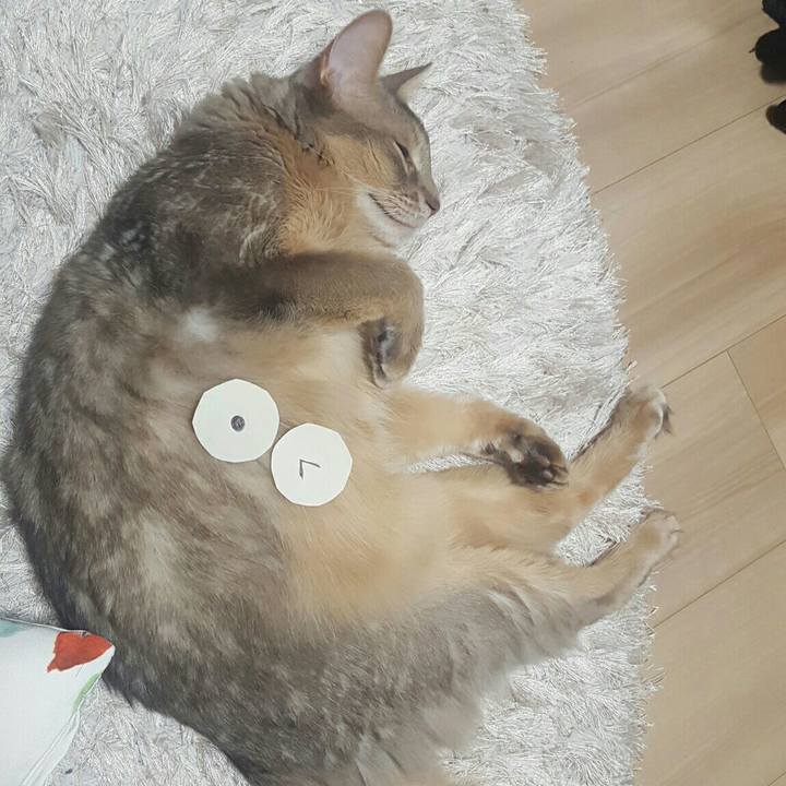 Cf41118c 9ac1 4d95 a906 03a6f587b631 1550570205382