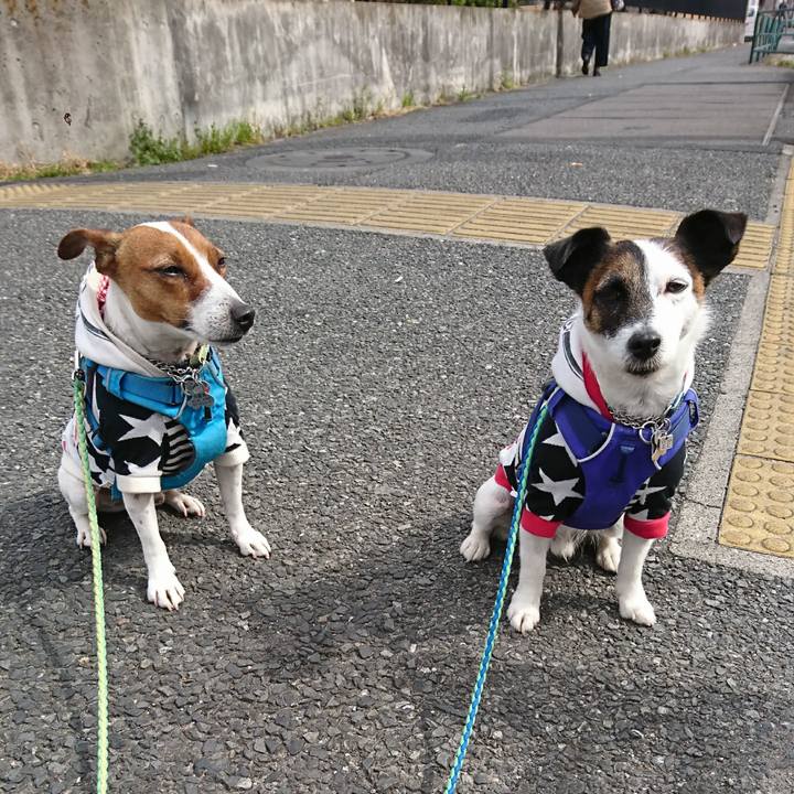 Cf415deb 1203 49a0 a370 c9d2592ec0ba 1614909275633