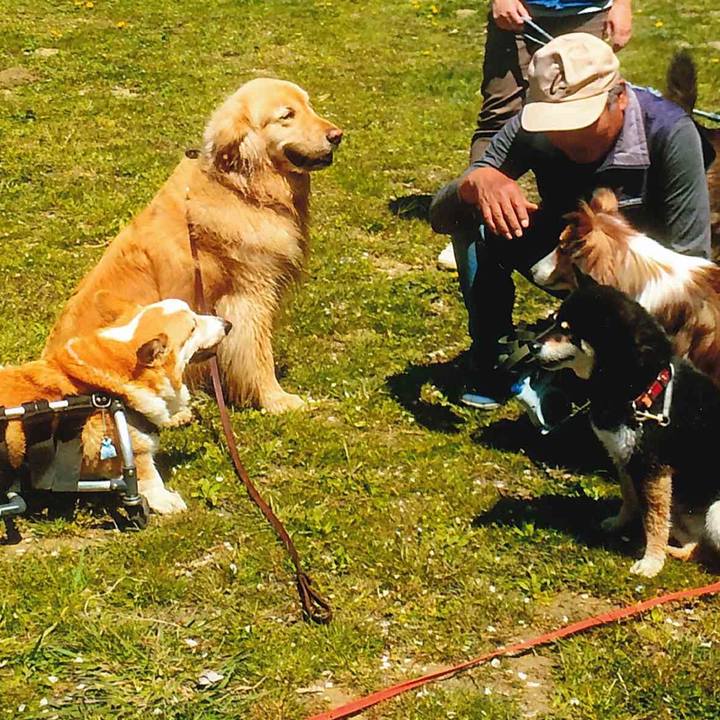 Cf41de79 9a9e 4c4e a48e aa6a3cd3ce48 1642412184875