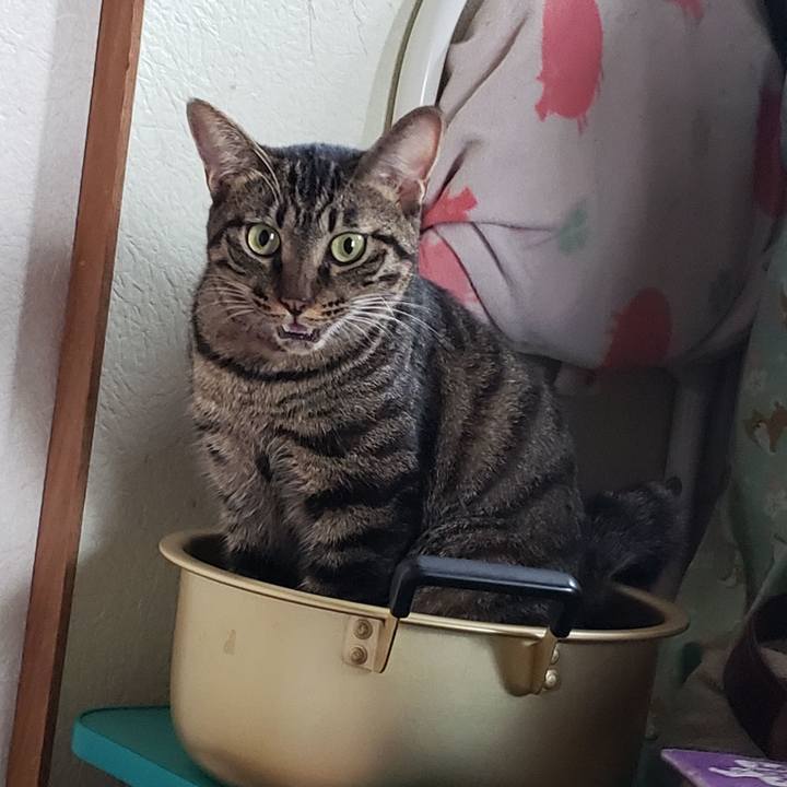 Cf420da9 2b5b 4098 9ad6 b0af2238d487 1567134279029