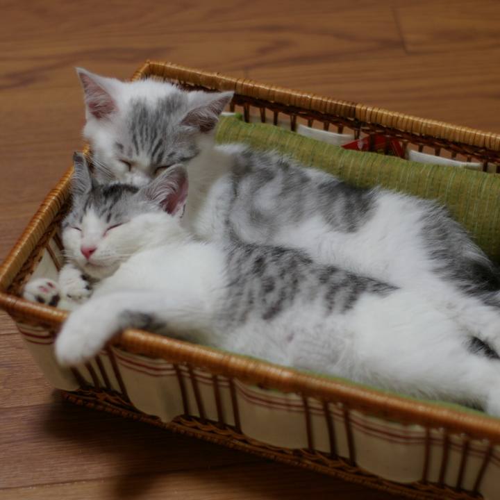 Cf423dd3 ab2b 433f a0cc e9535e743e27 1525767849061