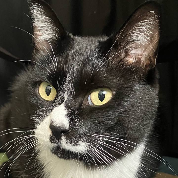 Cf424527 34de 4922 9813 2d3a500c7323 1736586261092