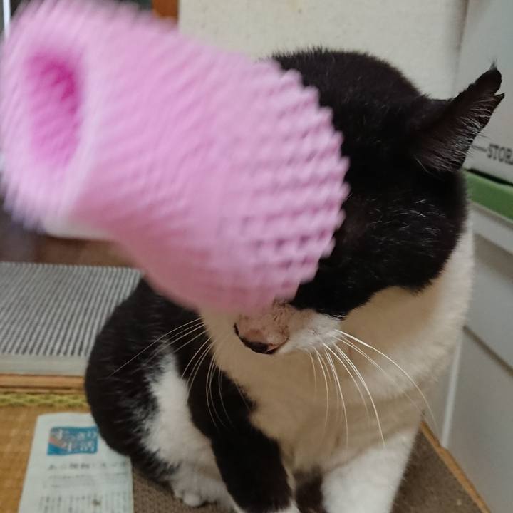 Cf426c39 0f2c 4bec 80e7 3b69172f03ed 1630117068443