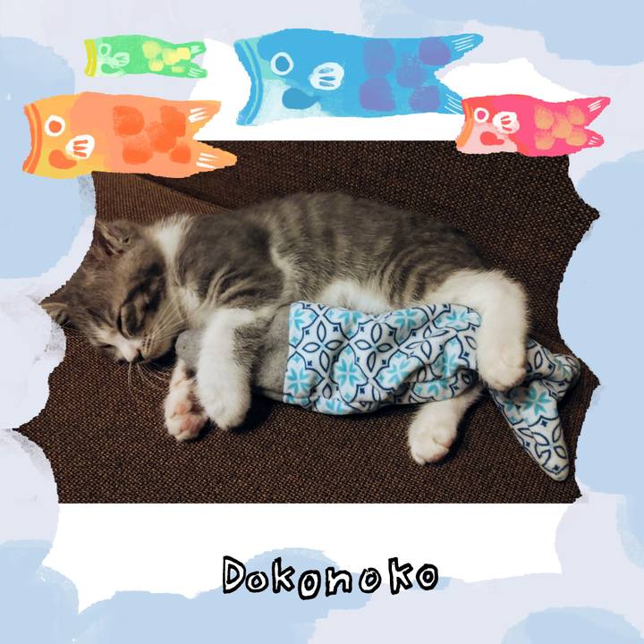 Cf429a88 4813 4c6d ba10 6c8bc6cc4bf6 1749393096564