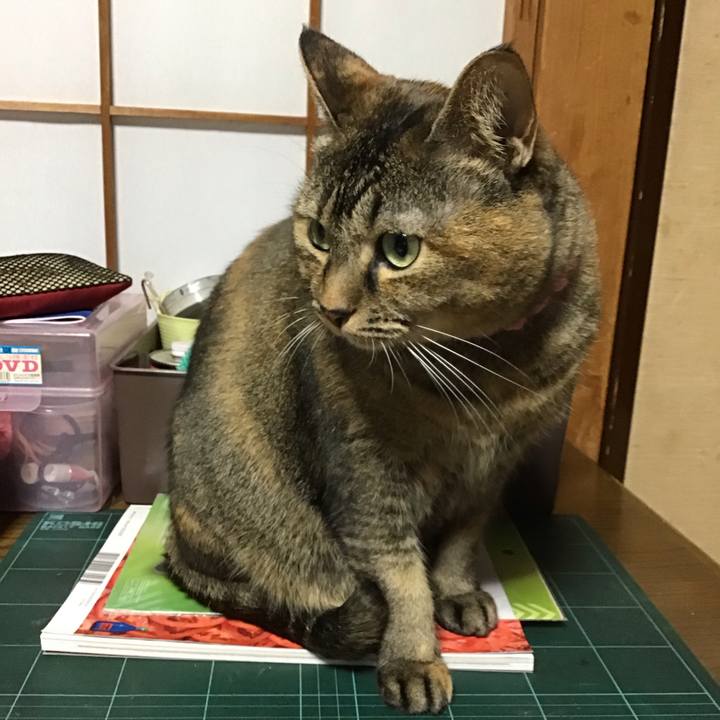 Cf42a34e 66b5 4db5 befc b1722f4ee865 1732532911189