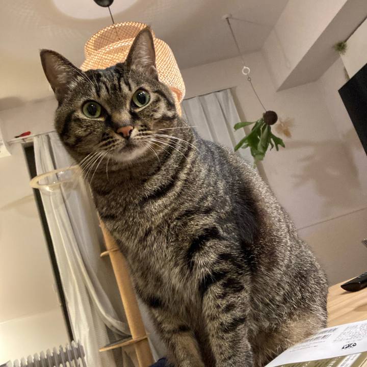 Cf43542c 33ef 4f5d 99a7 d2cceaf9f917 1641822096255