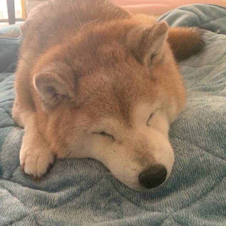 Cf436df9 9ca4 4582 a08e a0879256d20d 1687686619497