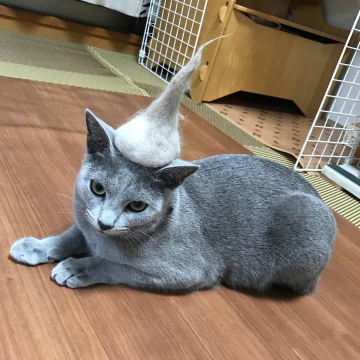 Cf438166 cbce 403a 929e e7ec1ef78951 1524356096581