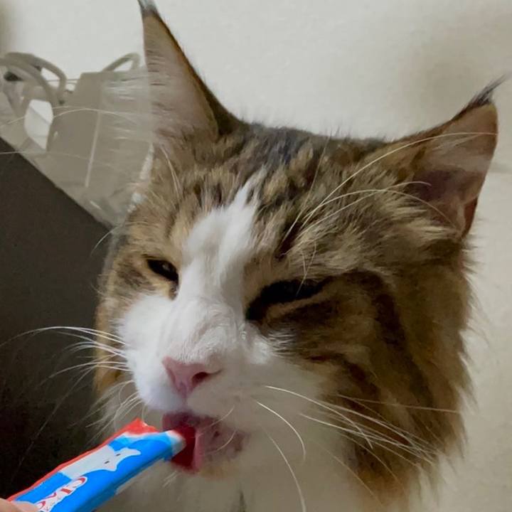 Cf439802 19c5 4cee 938f a6bcdc10cb49 1662810641921