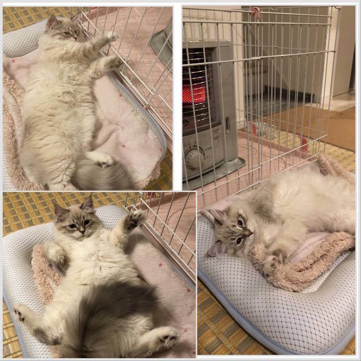 Cf43b408 d103 4e0a 8439 255dc6be2ec1 1673753949054