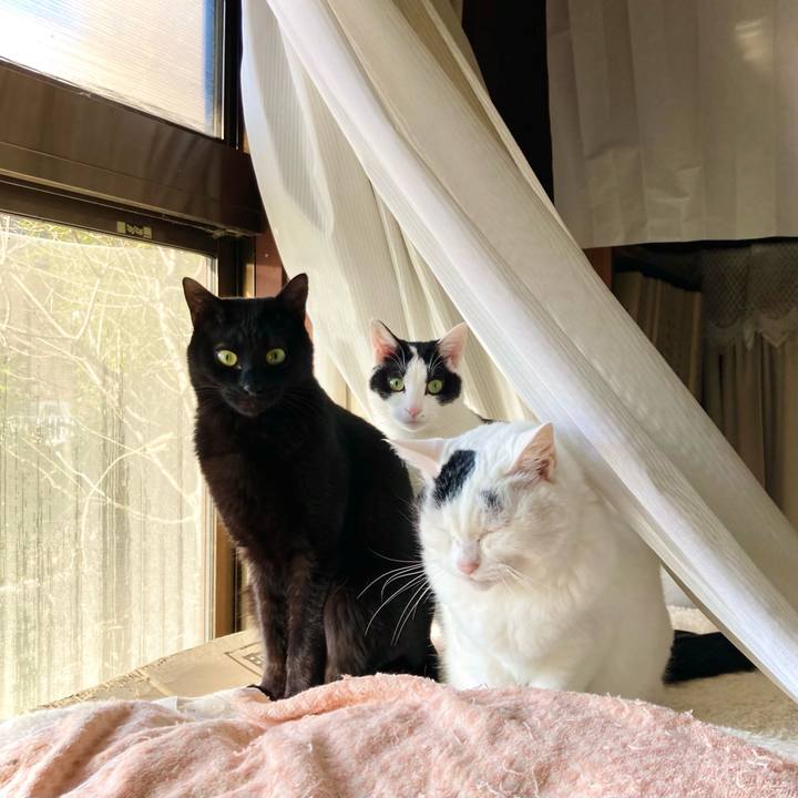 Cf43b699 2c11 4416 b5e0 a087e73fed38 1672358886563