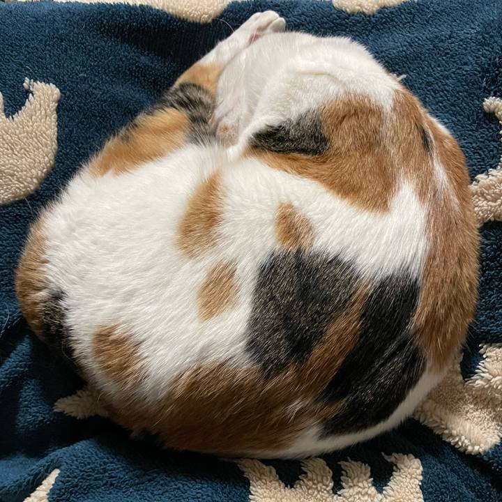 Cf43d97f 9b82 4672 9e30 3753a2371812 1645354299534