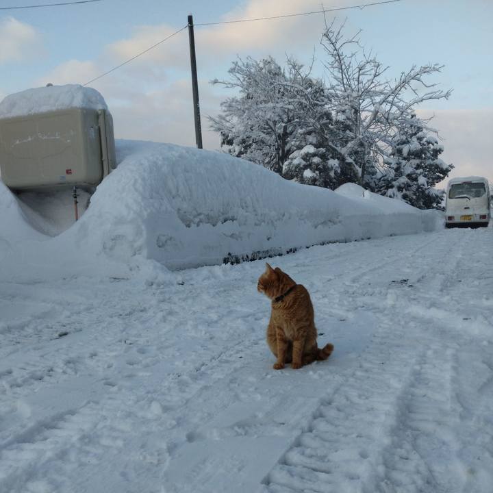 Cf43e9e1 4792 4e1b 89d3 b965d820a5d8 1676070674524