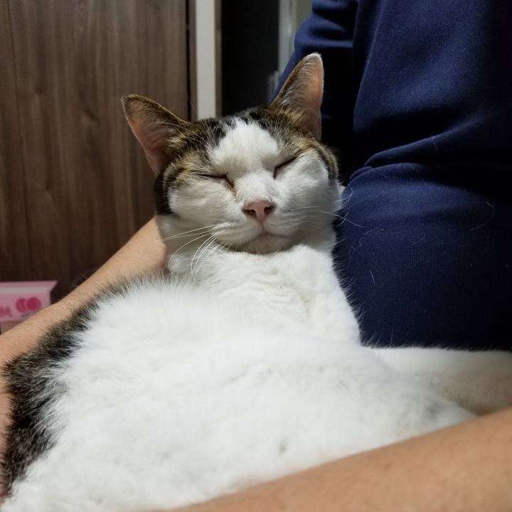 Cf44104d eaa0 4bcb ae2b feb5a30ceacc 1599222304941