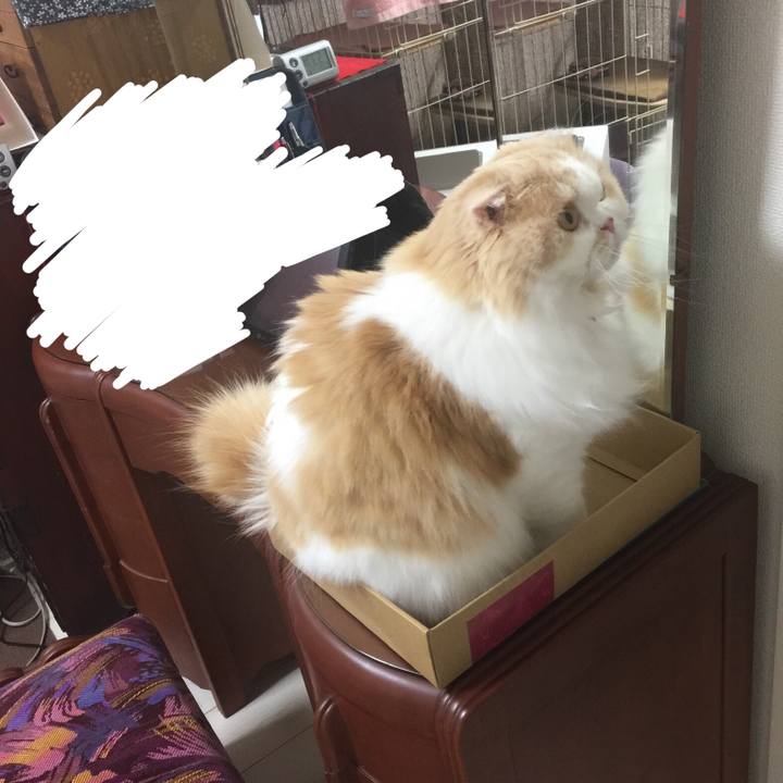 Cf4417e0 5cd6 4969 b314 972ca265330f 1590137720279