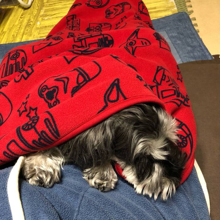 Cf441f93 b7e8 4f9e 845f ae5b5213e4da 1705412818151