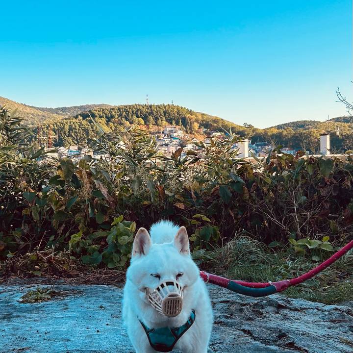 Cf4437fe ba33 4db4 9f6e a2a606357cad 1728875347230