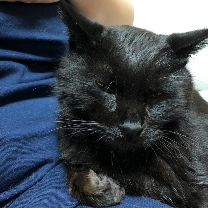 Cf4441f9 e377 4743 8c80 ef79a606e4e7 1628688579962