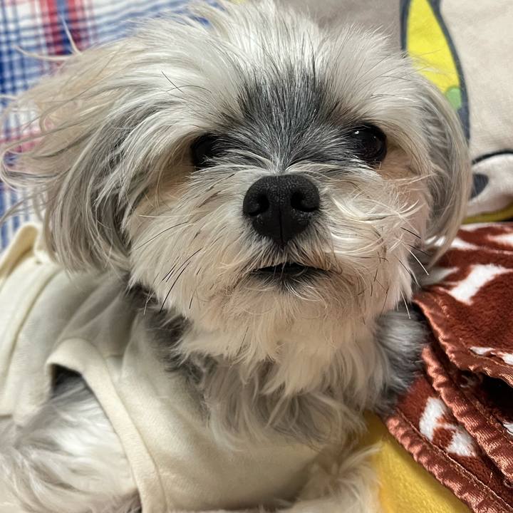 Cf44493c af40 4ec0 bc3a 8d31cd5975b5 1765875853181