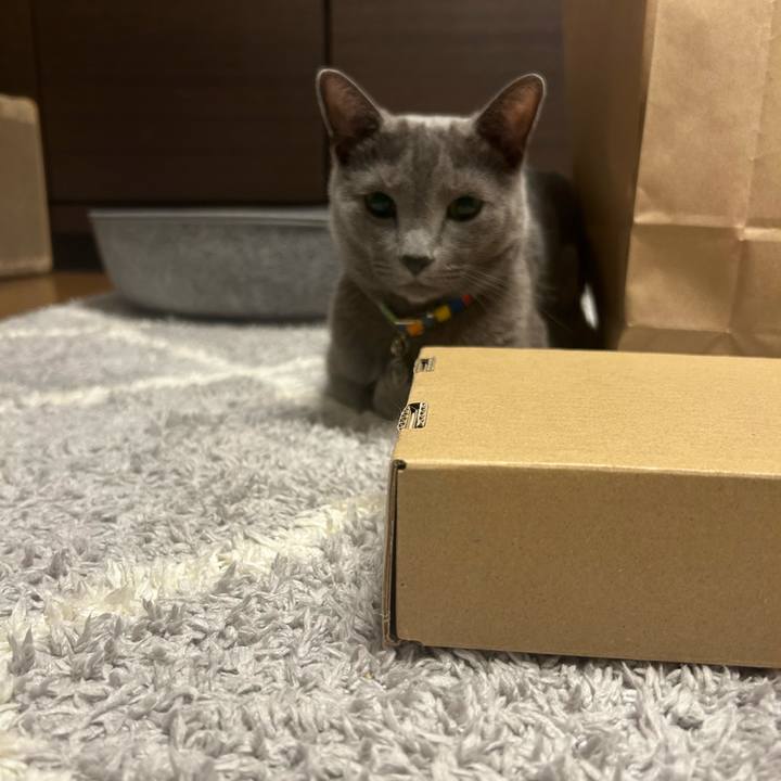 Cf44a7f2 a13f 4839 9cf6 8a348fd81366 1728264408334