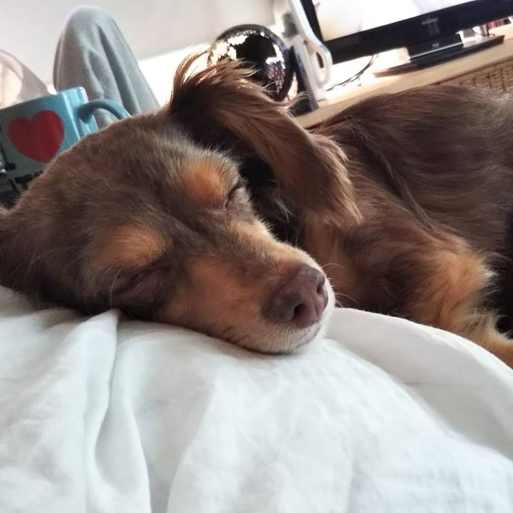 Cf44bc8c 1a88 4482 a8e8 19c69623e2b6 1533428014564