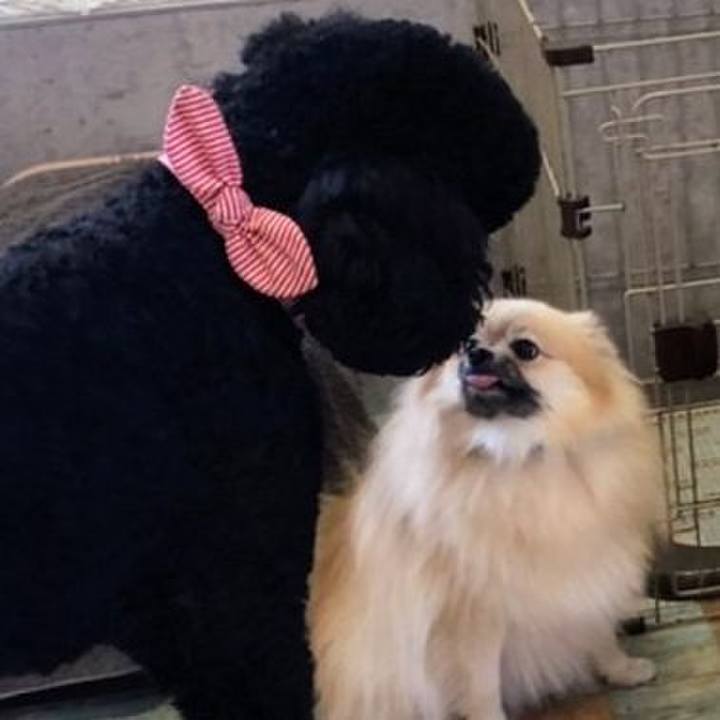 Cf44dcf2 8b98 4105 8a4f 80a6c90e4cf7 1645613098360