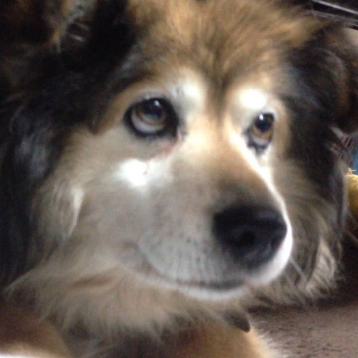 Cf44de2d 43fe 4260 8d49 21216276dd62 1598881328211