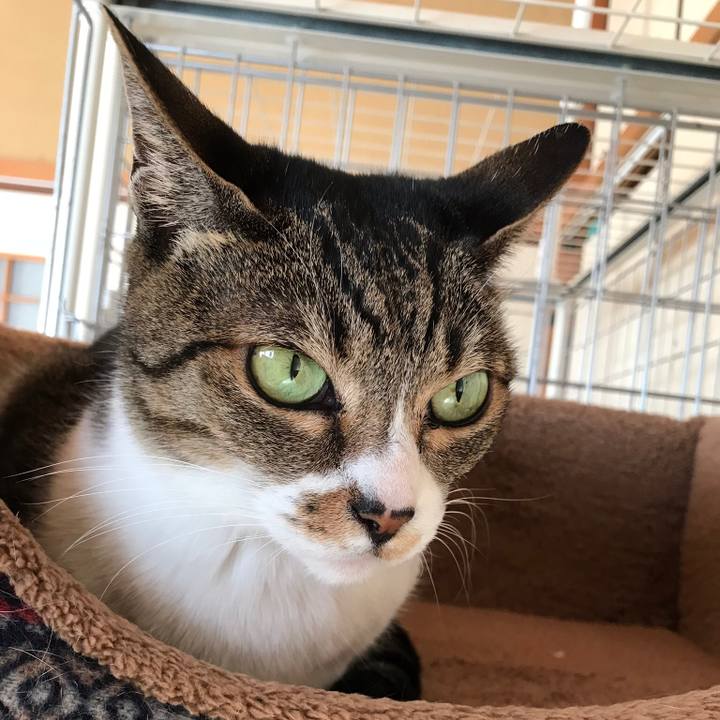 Cf44ee83 1a54 4a5c 8768 5c038b5a1b8e 1515979964170