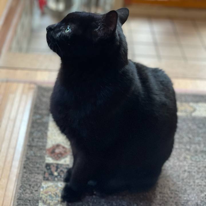 Cf44f664 358f 4f56 a080 1cb3fcb587f7 1612748706562