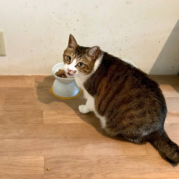 Cf44fda9 c154 409b 8a36 4574e848e30d 1556358303905