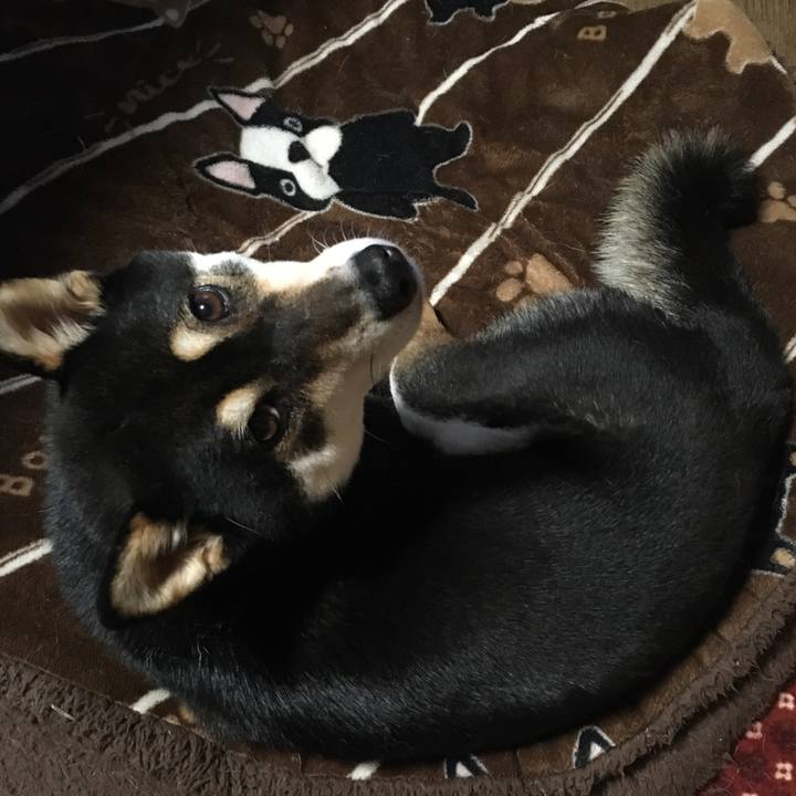 Cf4522c5 01a3 4161 85a0 fae02e971d21 1587990419662