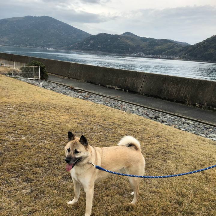 Cf453aa4 f1d1 43ae 8586 44fa1e388ab3 1616931805165