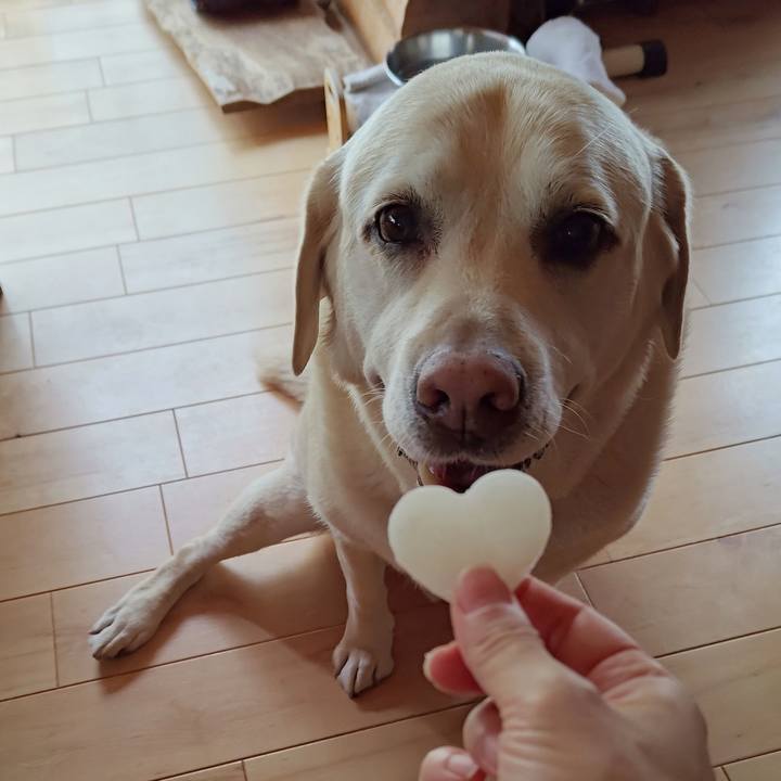 Cf4567e8 858f 4e76 b374 6ce7463cb915 1751336968002