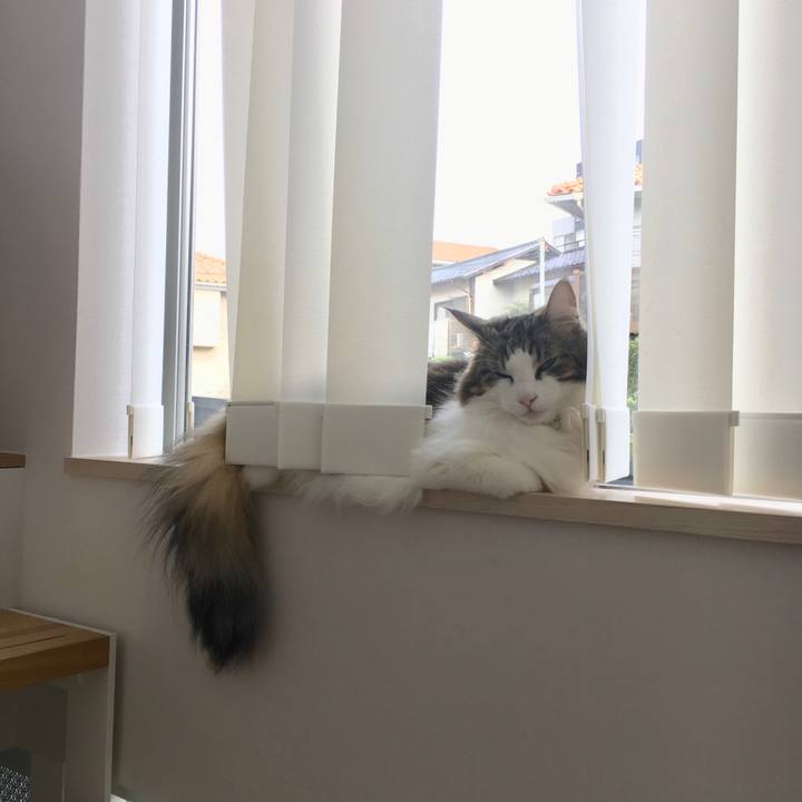 Cf456da9 7292 470e 8b1a 2e80e73c8af1 1536811542951