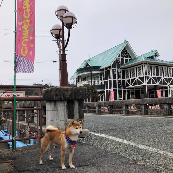 Cf456f24 5a64 48fd 8658 a1a1380e5b00 1519540724960