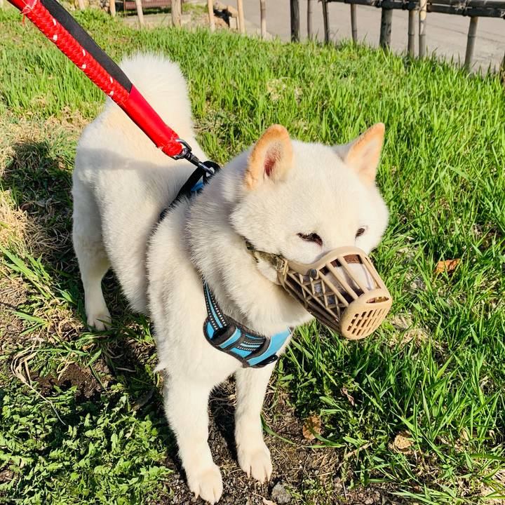 Cf4592f2 2804 498d 8f2f d1f686aca207 1681338226951