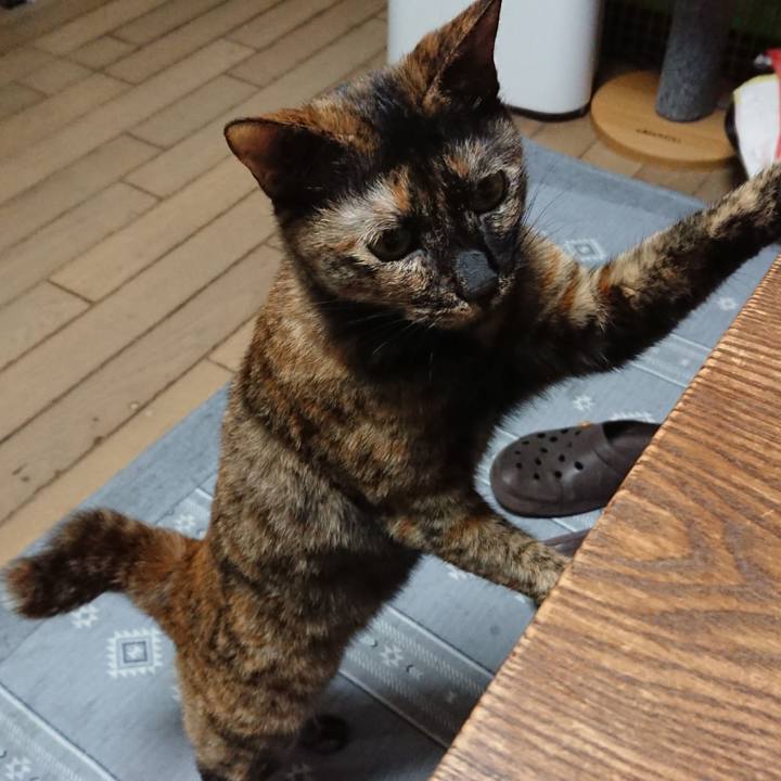 Cf45c19d f30b 425f a0f7 0a5b9ffc664b 1560484968425