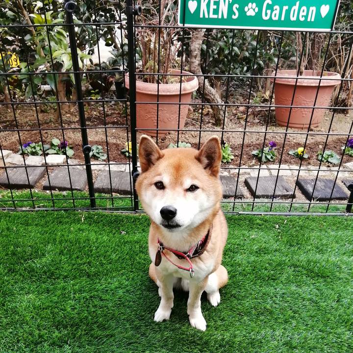 Cf45f1aa 7475 414b 89b8 7d1d8eae32b9 1643356067131