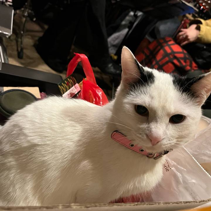 Cf46092c 9858 40af bd0d 907bb2596e29 1711201547874