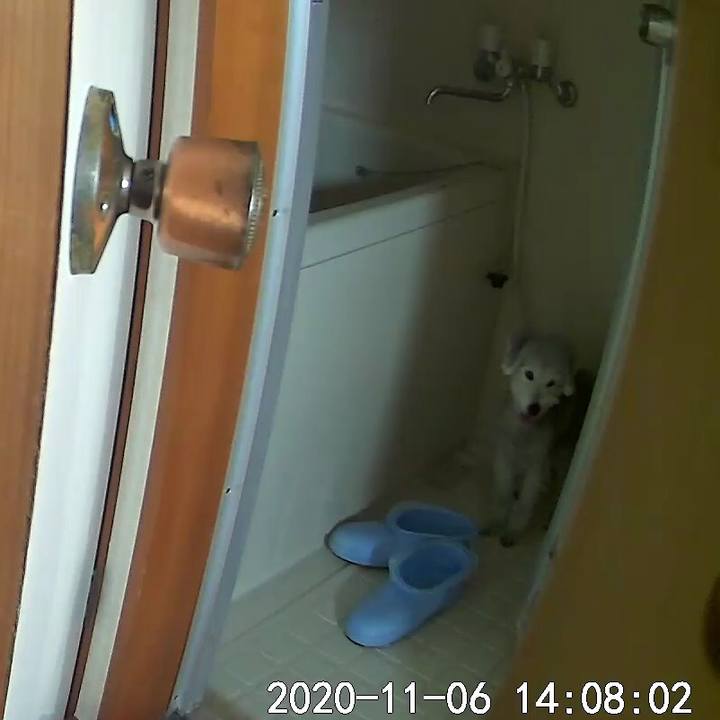 Cf4612b2 73e5 425e a8a7 3722106fe080 1604639334300