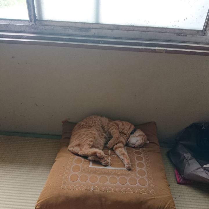 Cf461dcd 8600 4745 8f73 4728230526d0 1661986945674