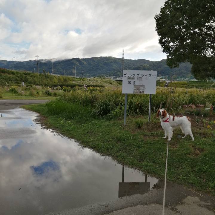 Cf464031 1850 43c5 9b49 424b165fd4e5 1570944811812