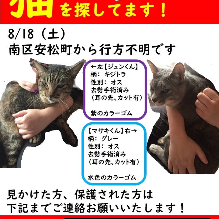 Cf467412 bbc2 4316 b58b 94adb0c7ebc8 1535081443863