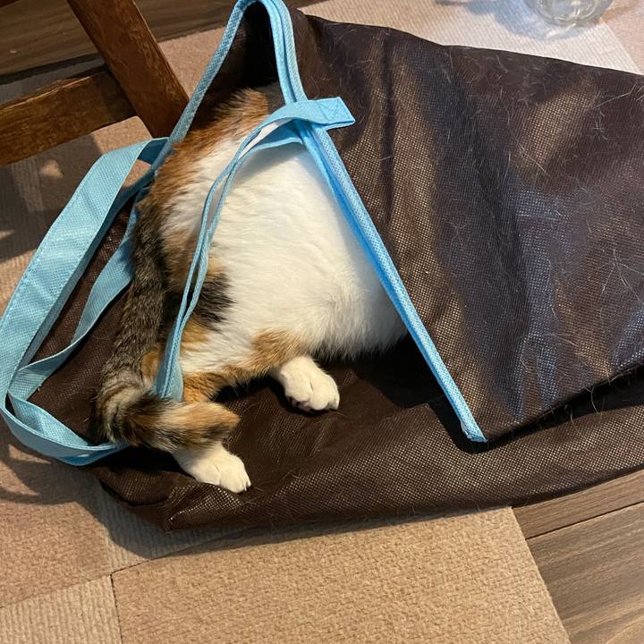 Cf46832a e5fb 442a ab5d a5282f641b28 1623250791265