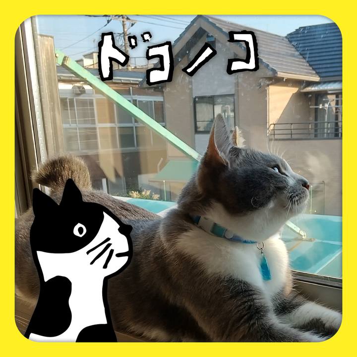 Cf46ae97 60f5 4201 a636 ba8461e0b157 1623208744951