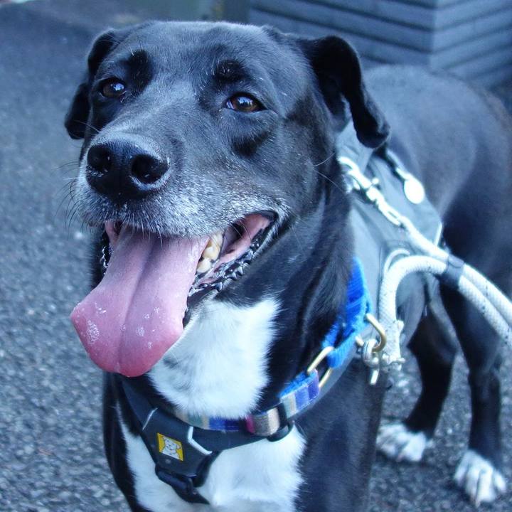 Cf46f90c 3a28 4e2a bfcd 49774f08e949 1656371762706