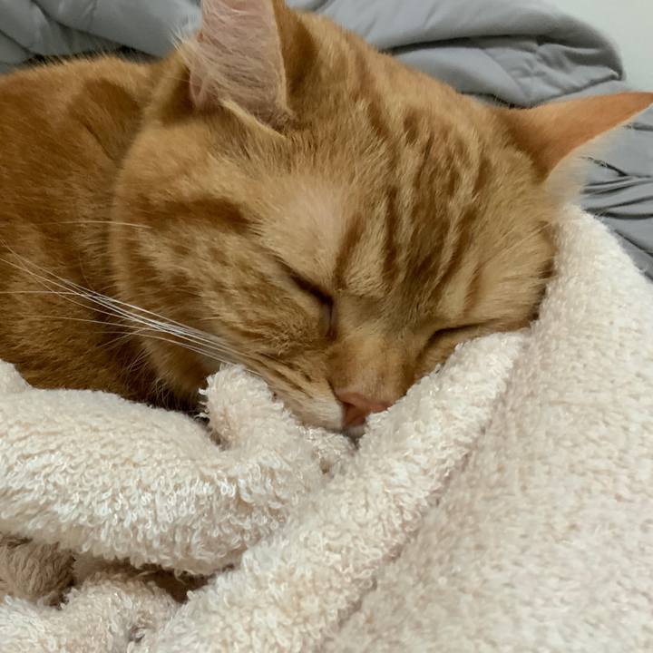 Cf4707eb 37dd 4b2f 9b6e 79211e27f606 1592099537201