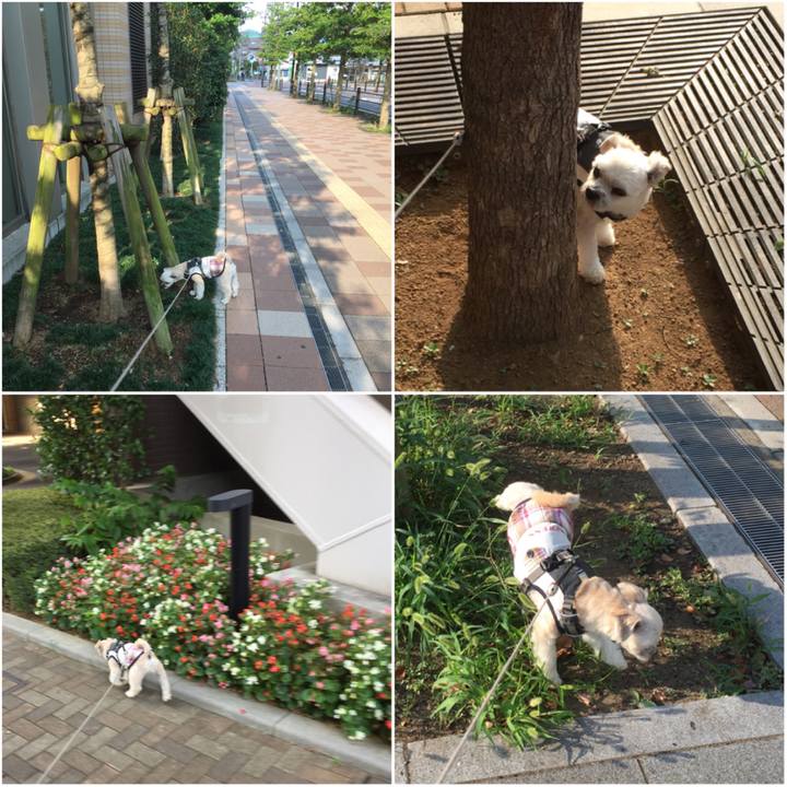 Cf471b99 d35b 47ef ae6b 0f6d4d0c3e93 1564791470984