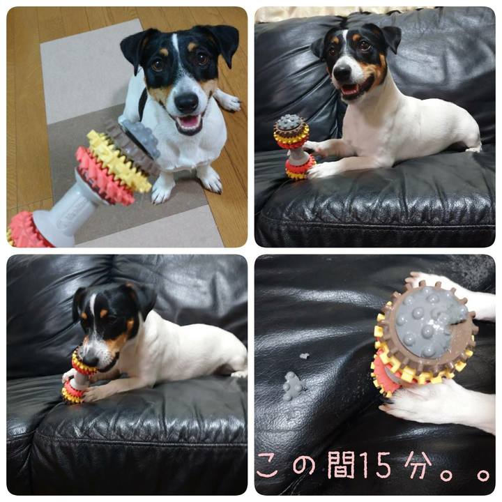 Cf474b14 c28c 4dba b597 e7e0f0b28f00 1566043645827