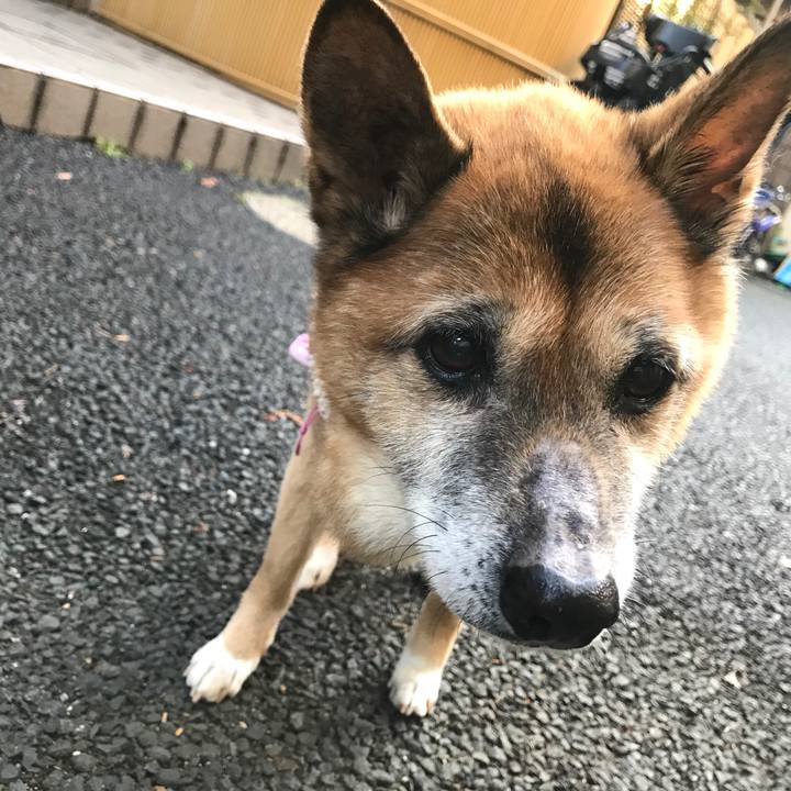 Cf4750b1 4d1d 4aab 9ad0 edf3aa247ab2 1550700962359